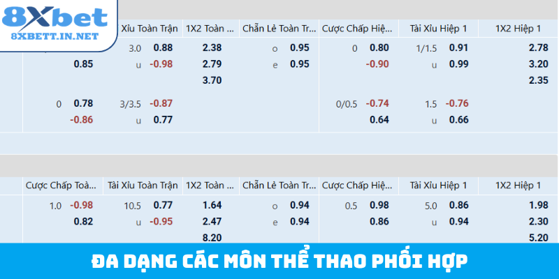 Đa dạng các môn thể thao phối hợp