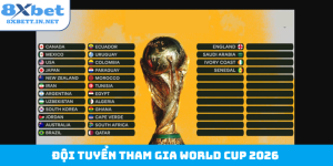 Đội tuyển tham gia World Cup 2026